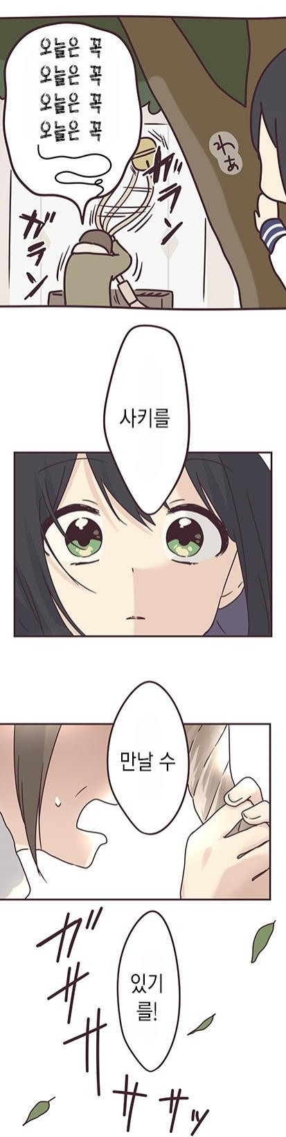 17343935006693.jpg