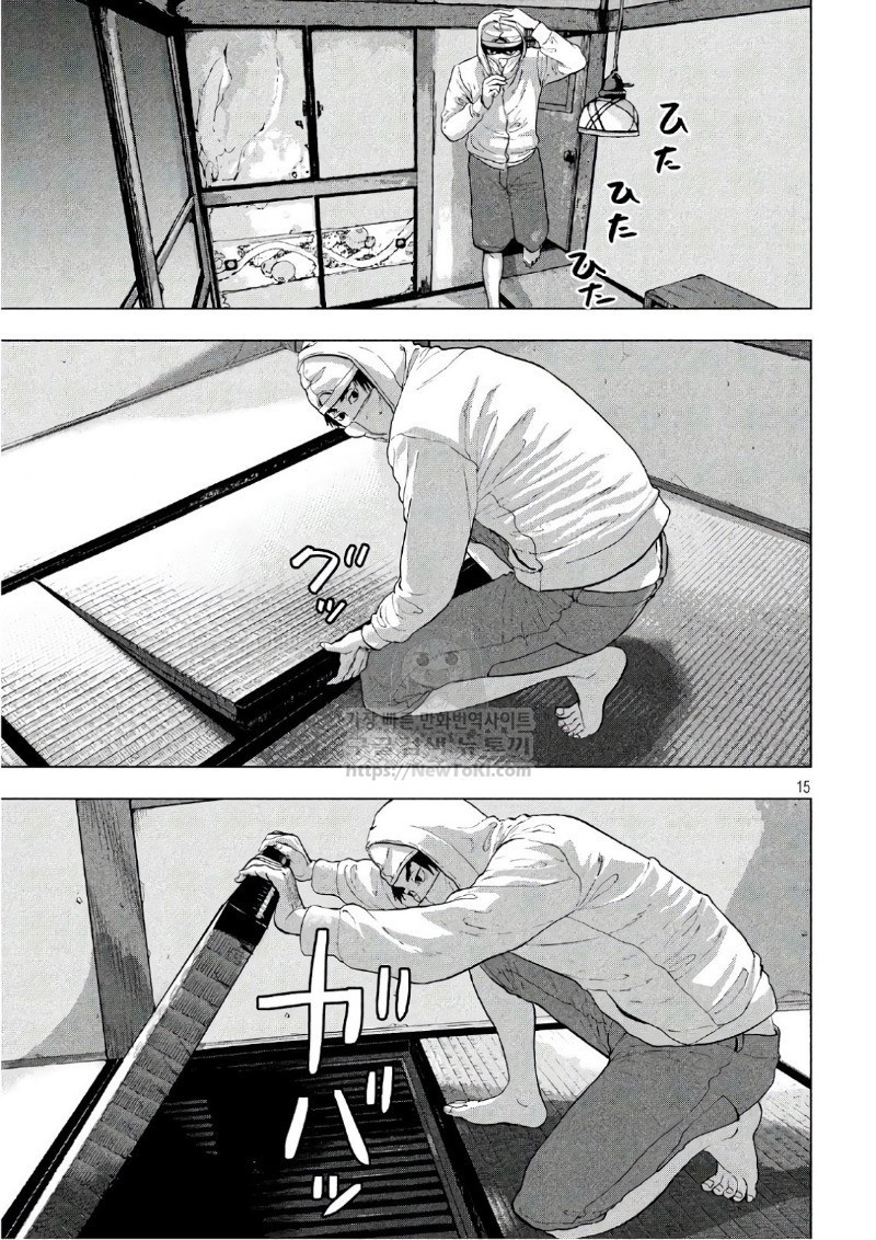 17343964732322.jpg