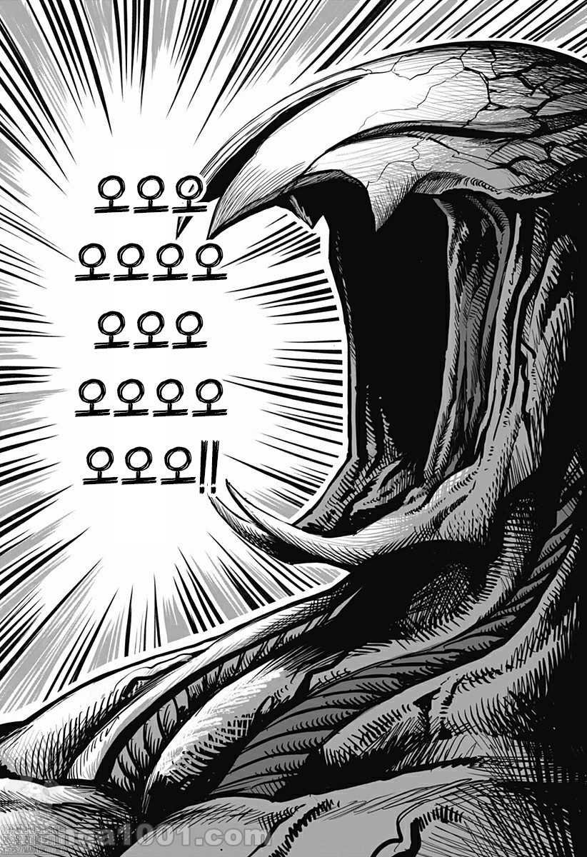 17344007263273.jpg