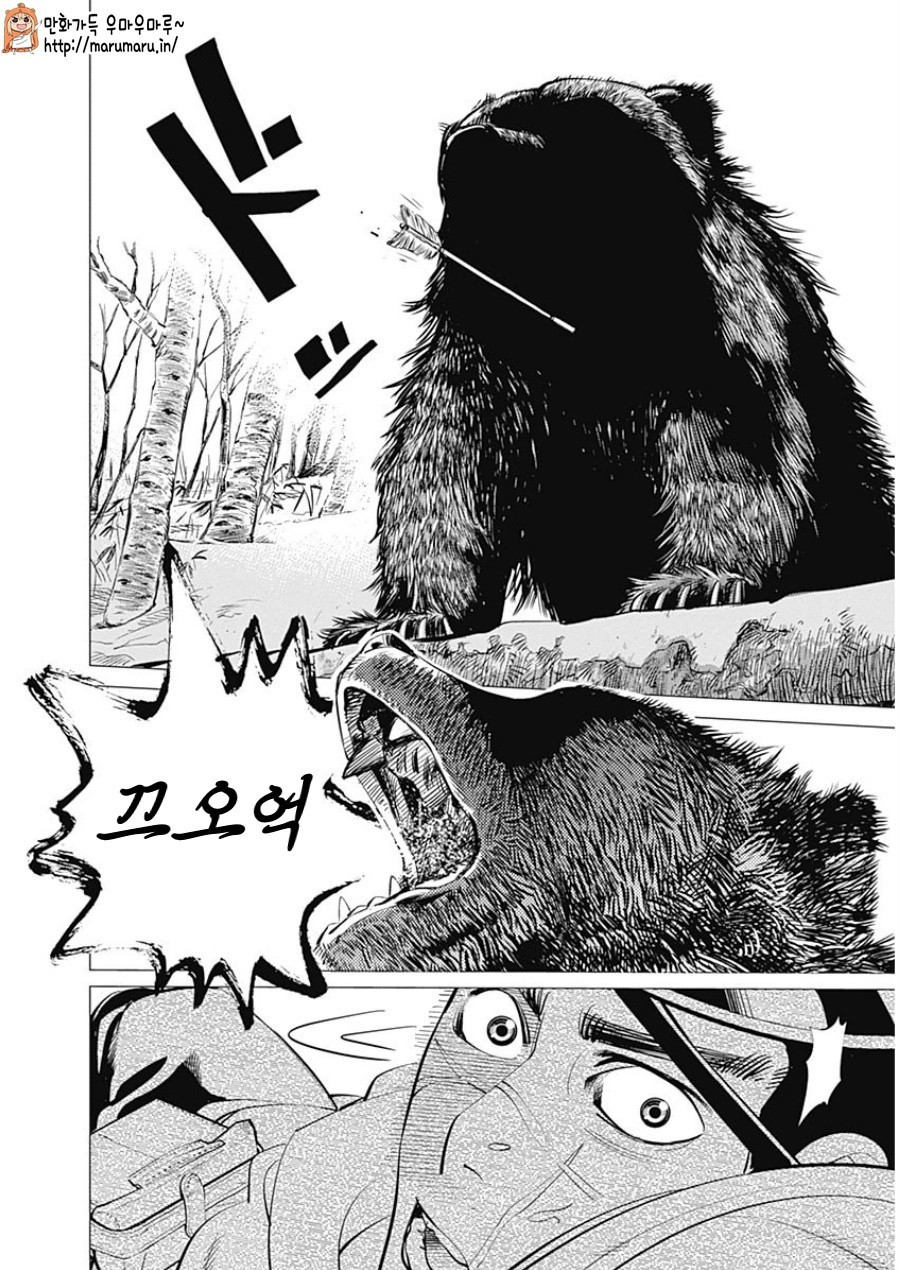 17344231275712.jpg