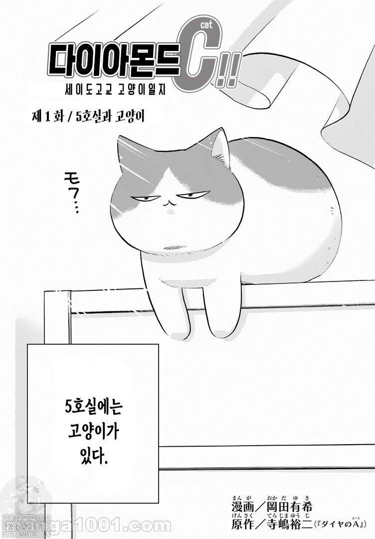 17344431163431.jpg