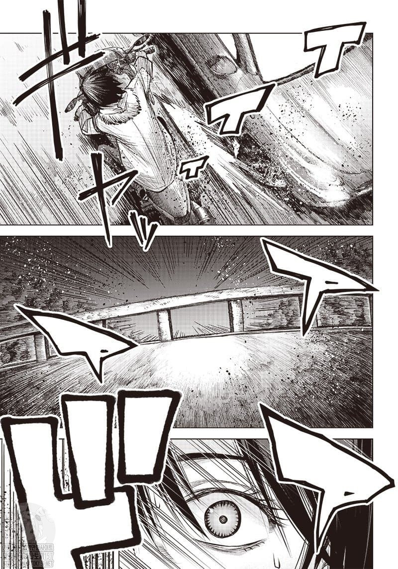 17344532996561.jpeg