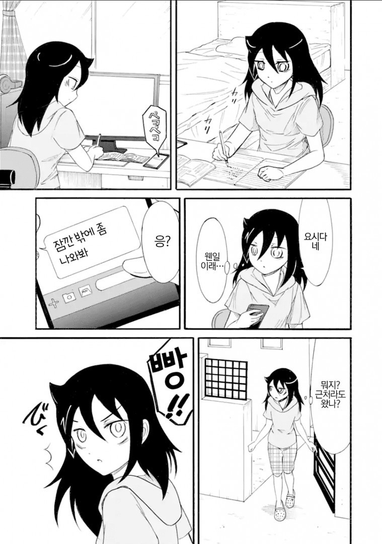1734386971376.jpg