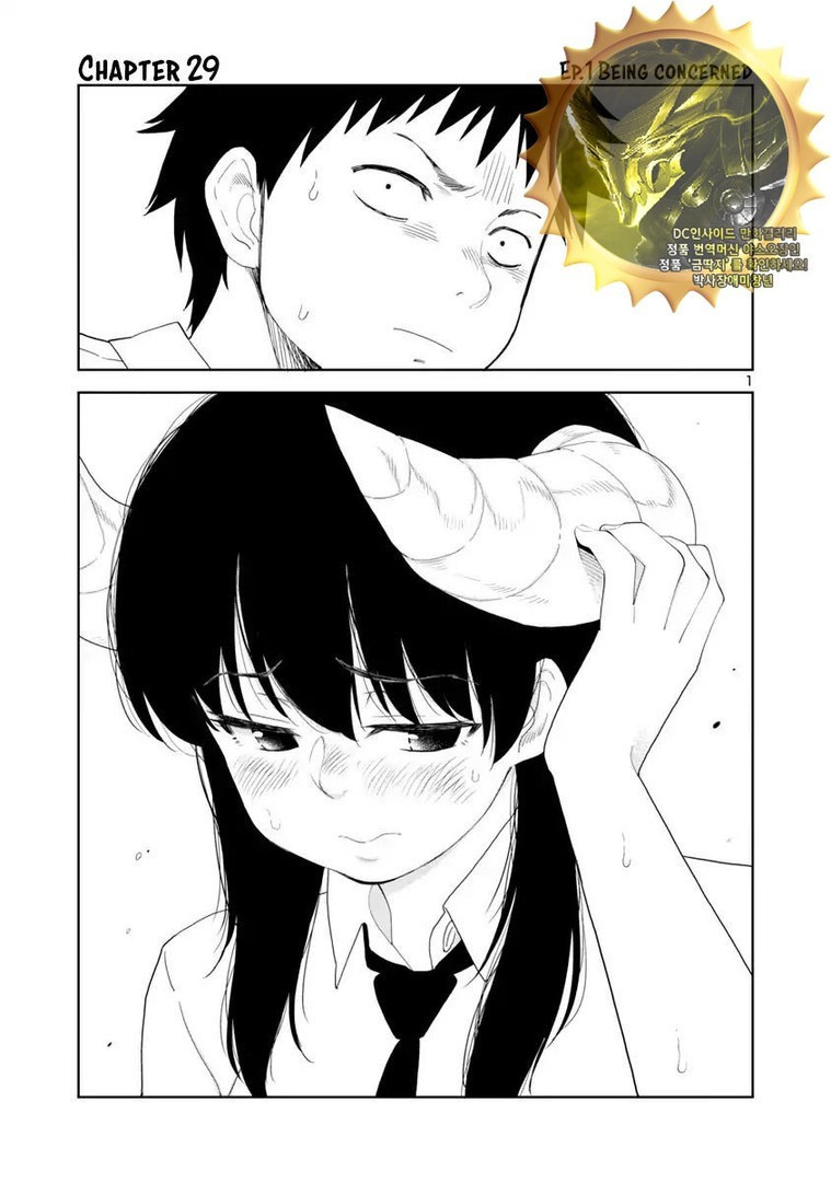 1734389095162.jpeg