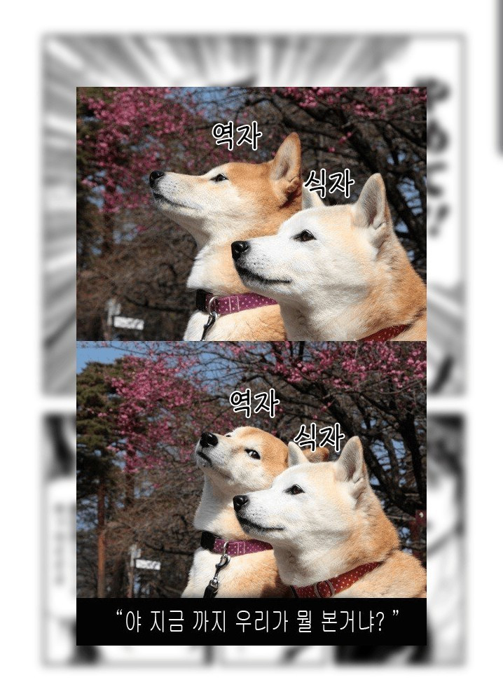 17343986270048.jpg