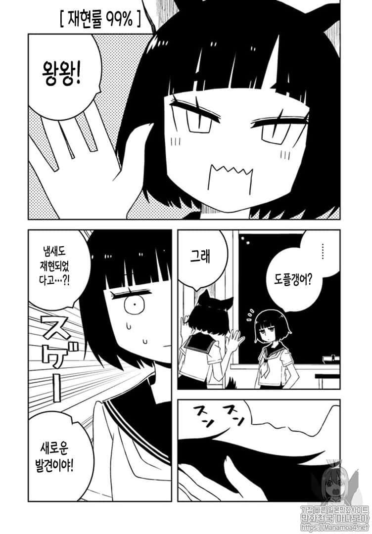 1734421286032.jpg