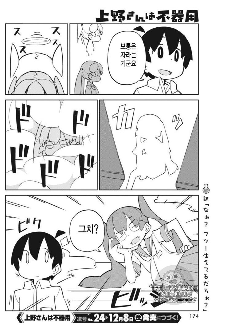 1734441557822.jpg