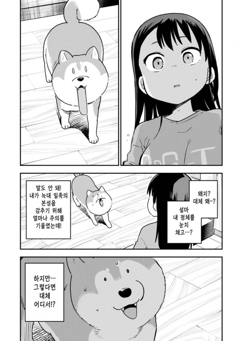 17344578568884.jpeg