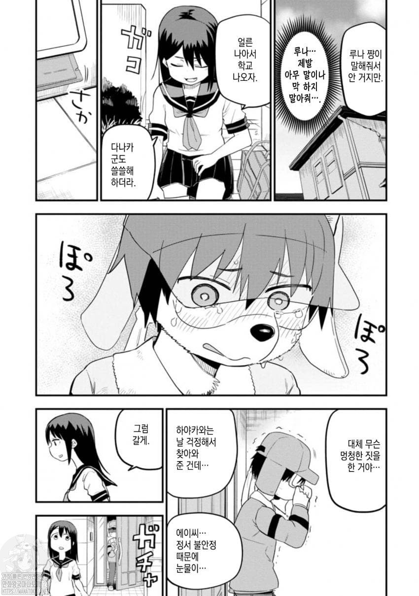1734457941979.jpeg