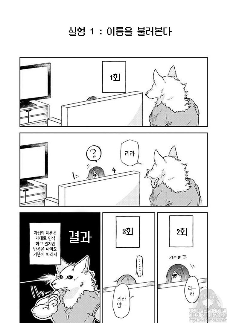 17343991543894.jpg