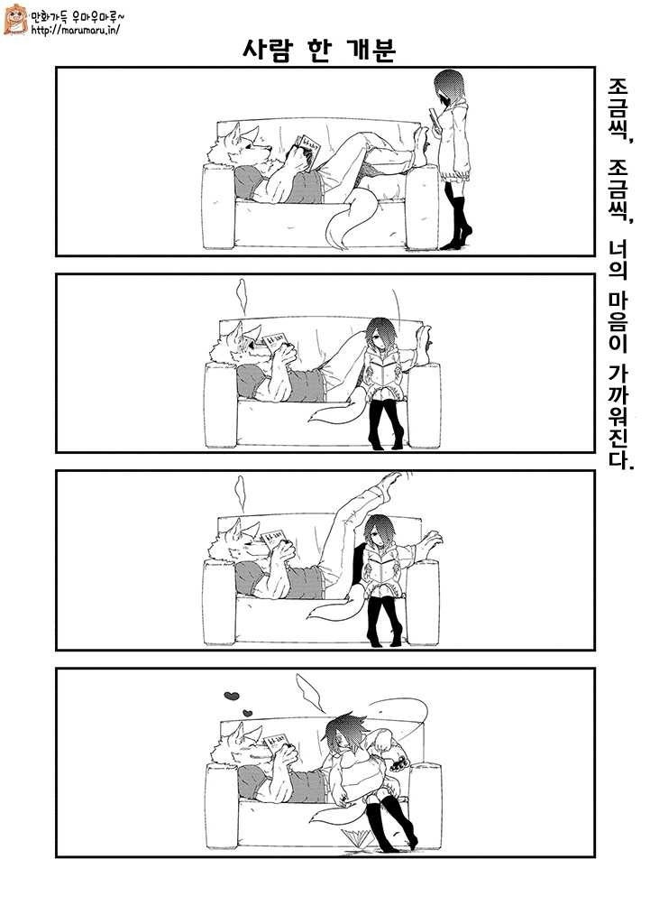 17343990043065.jpg