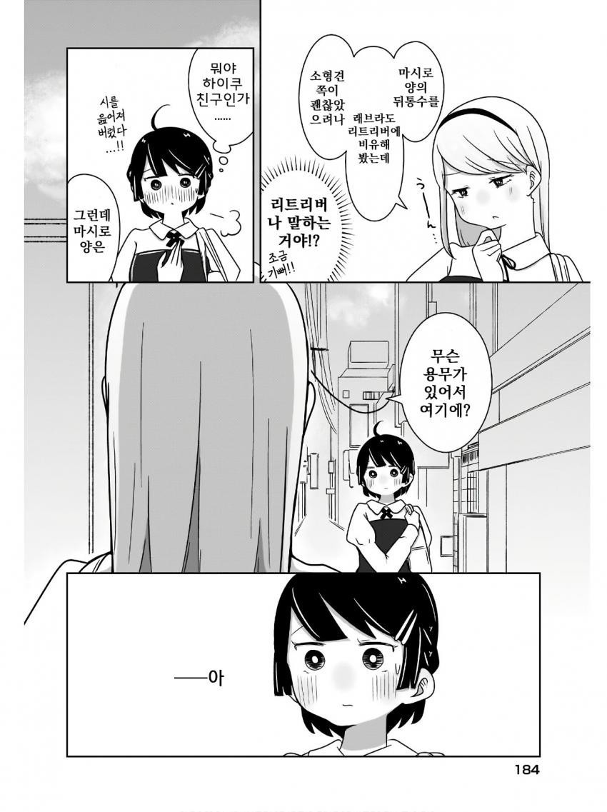 17344022084151.jpeg