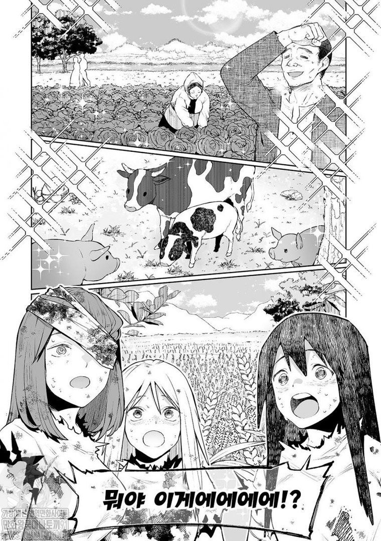 17343901728932.jpeg
