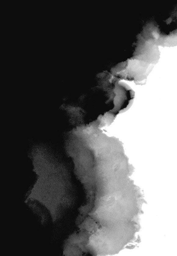 17343825780245.jpg