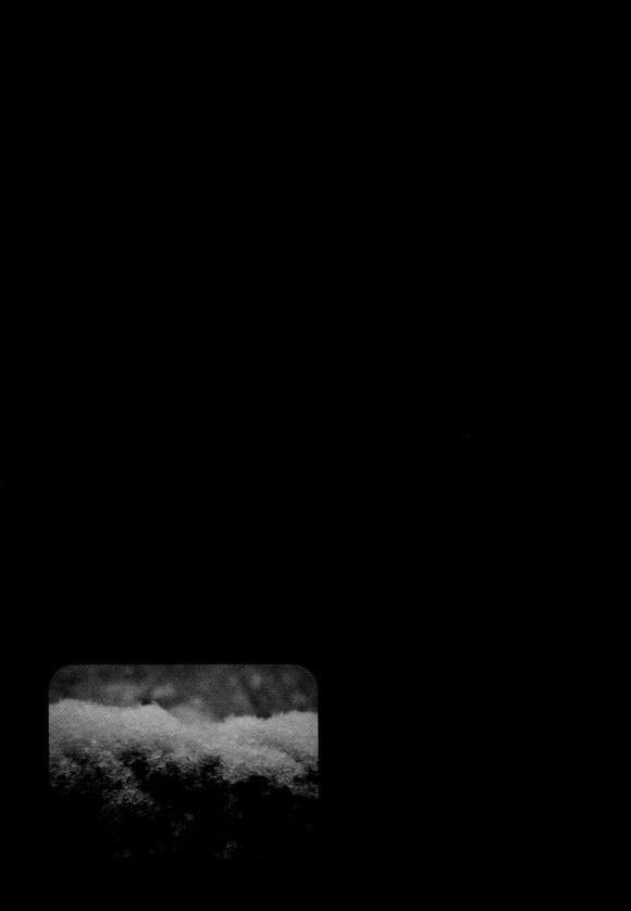17344180997821.jpg