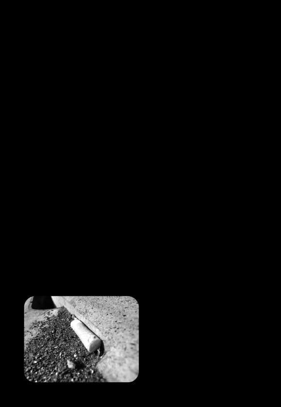 1734417808788.jpg