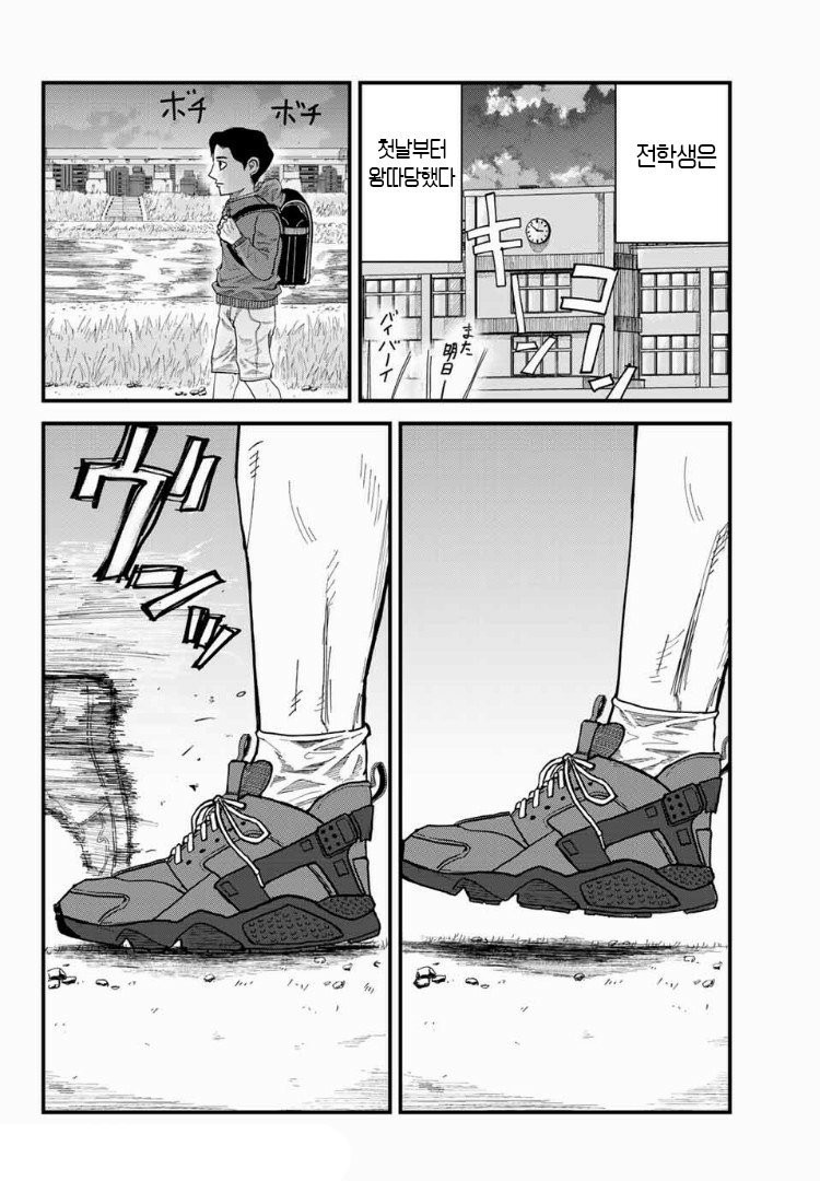 17344350119423.jpeg
