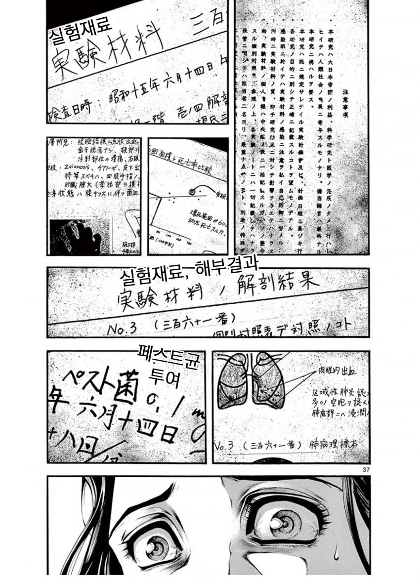 17343870431454.jpeg