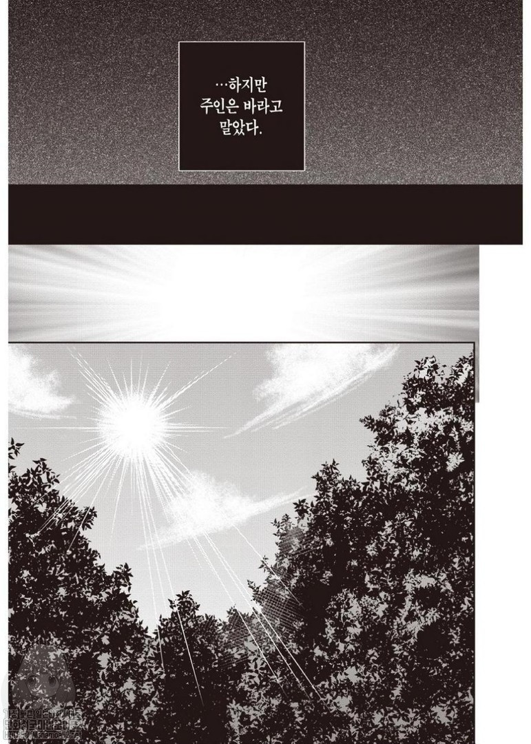 17344562320084.jpg