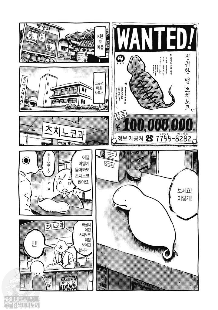 17343864539344.jpg