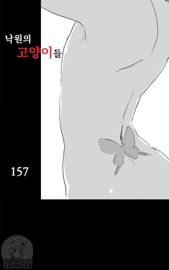 17343927657224.jpg