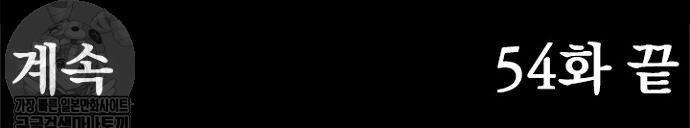 1734391176407.jpg