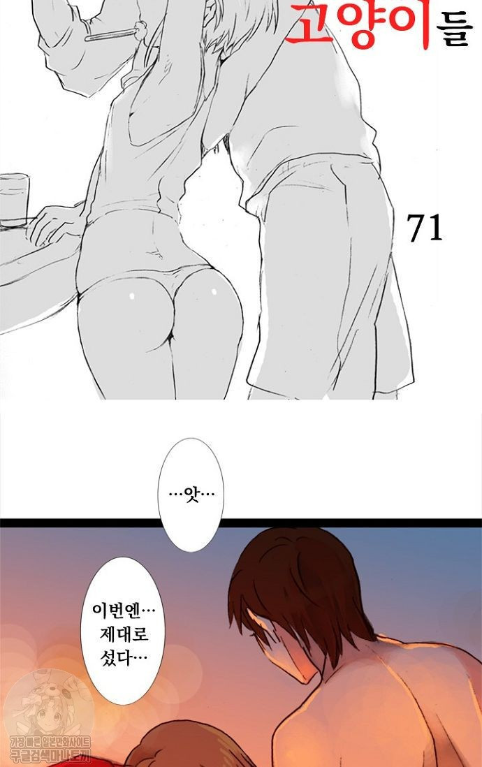 17343914048454.jpg
