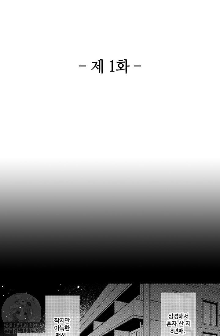 17343942036849.jpg