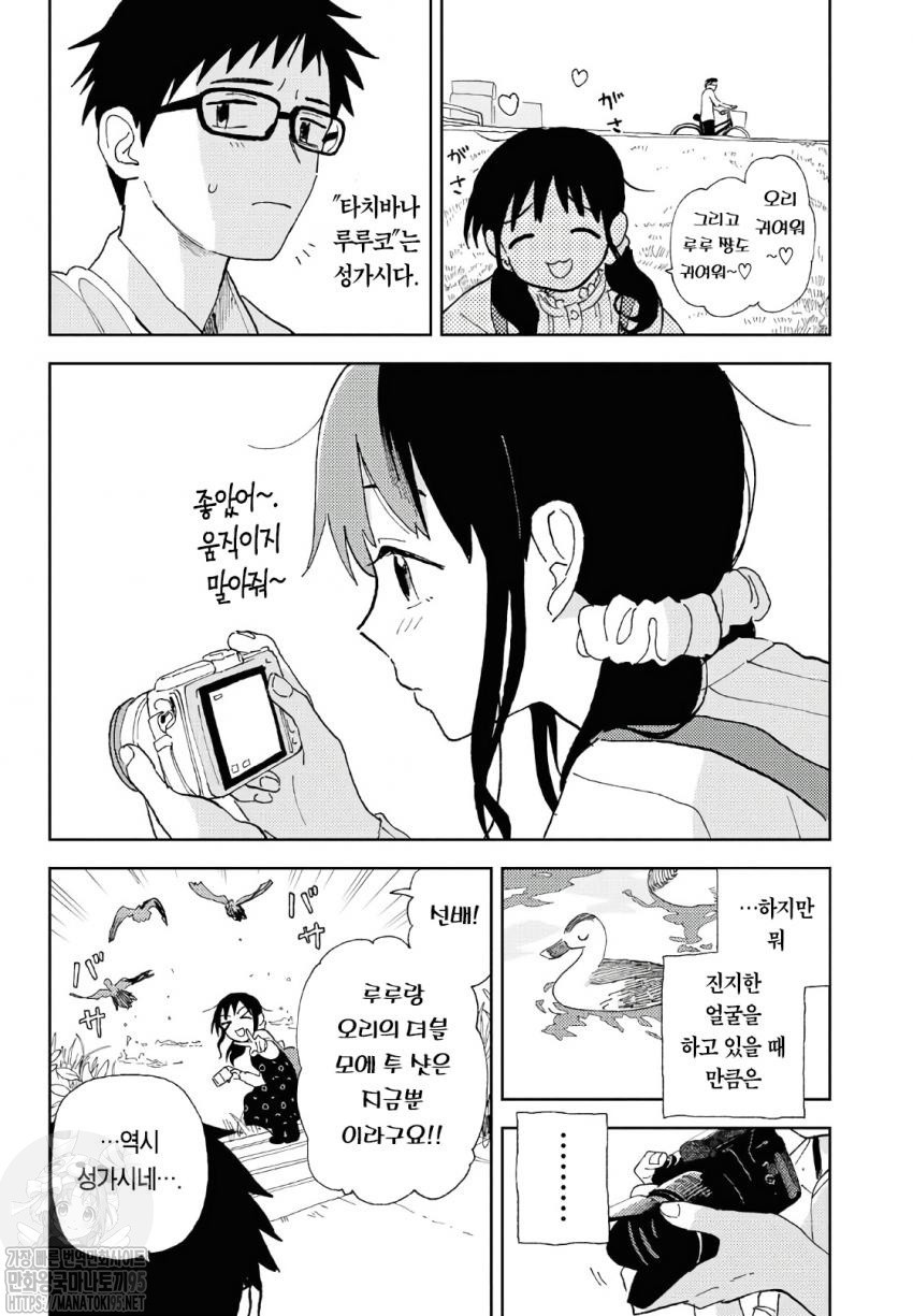 17343985048856.jpeg
