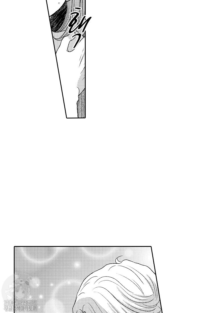 17344241232506.jpg