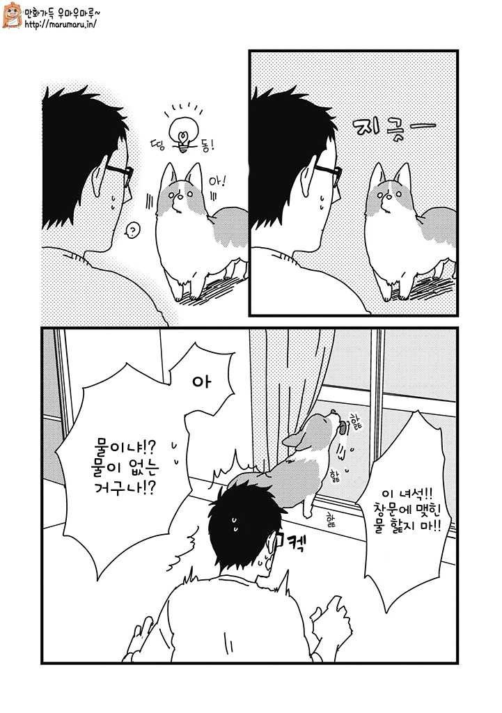 17344397819704.jpg