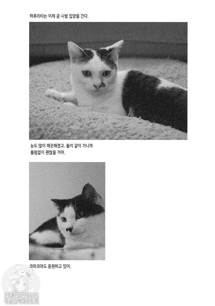 17343796884288.jpg