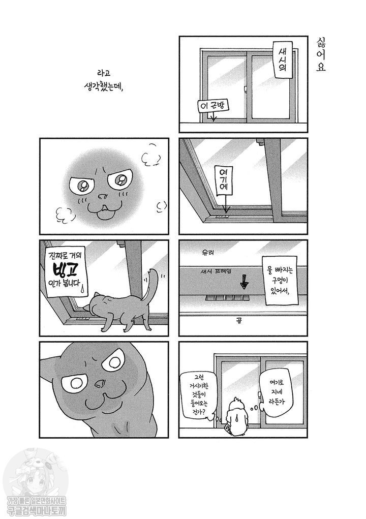 17343797217268.jpg