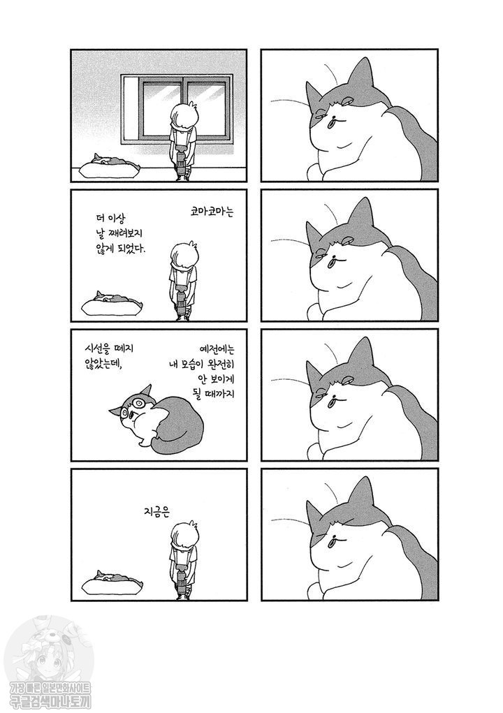 17343797244245.jpg
