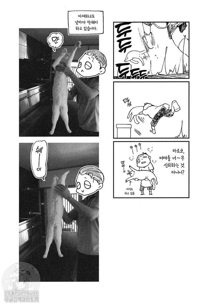 17343797277475.jpg