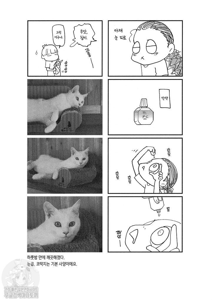 17343797292667.jpg