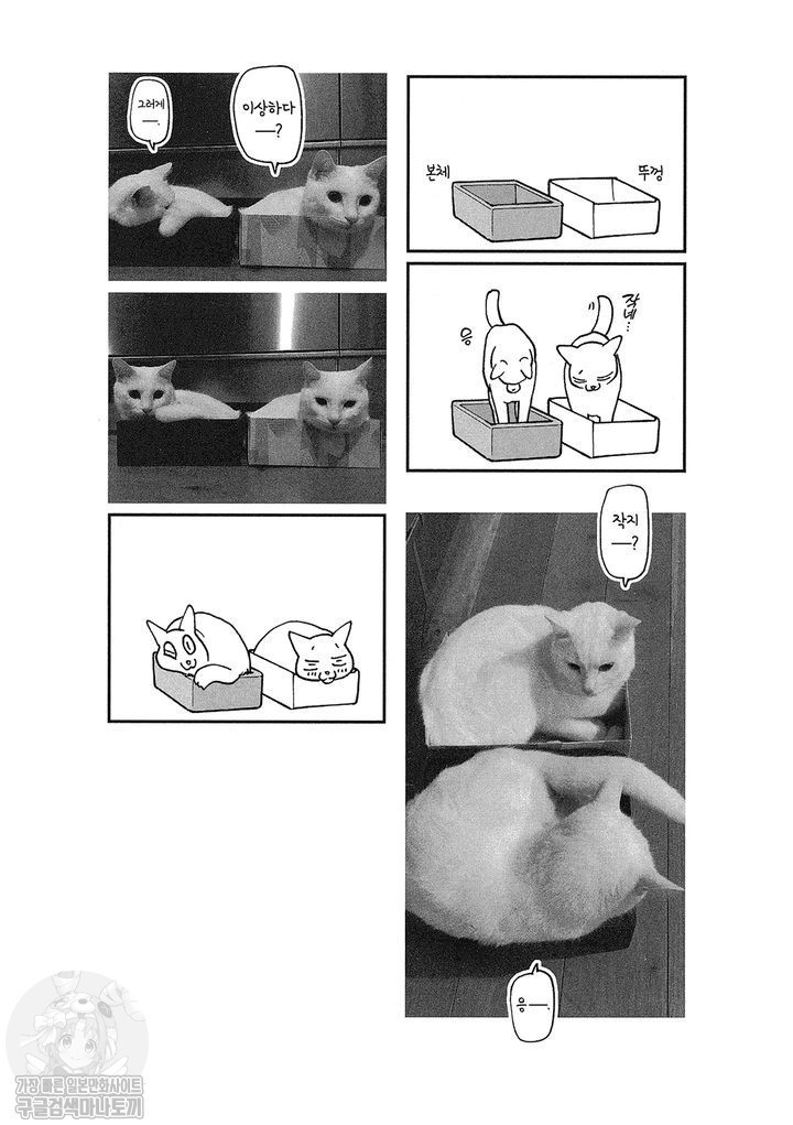 17343797303344.jpg