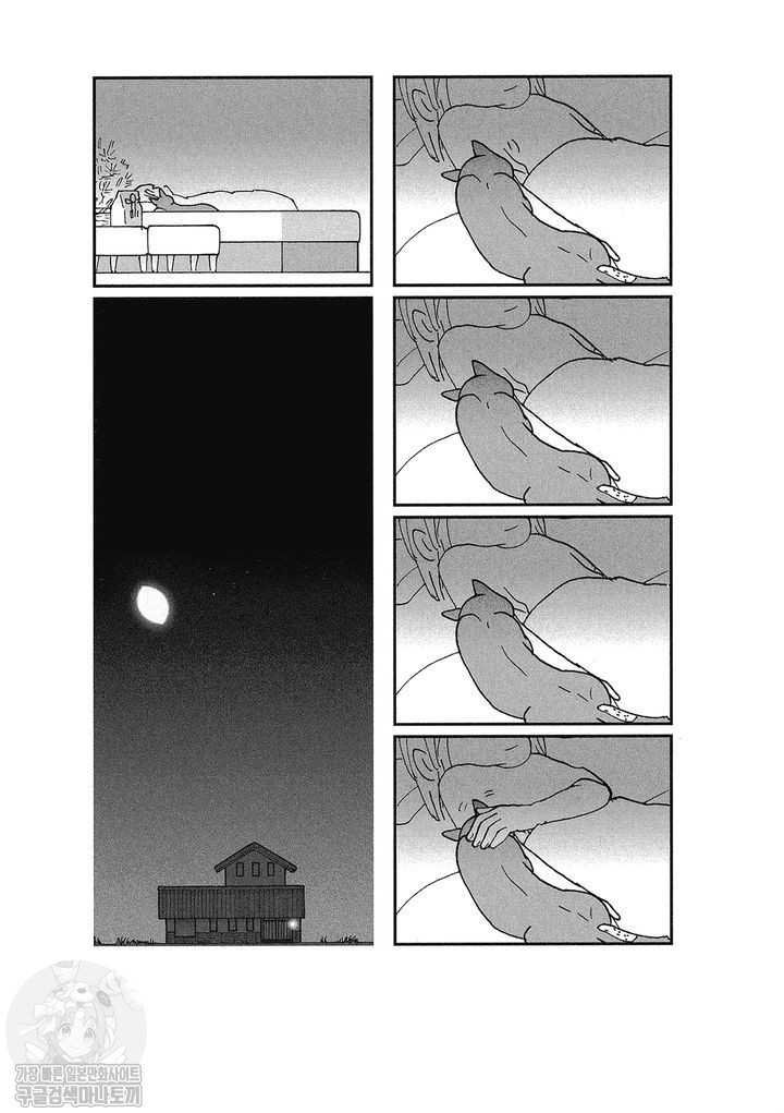 17343797770687.jpg