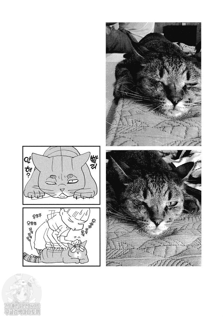 17343797899755.jpg