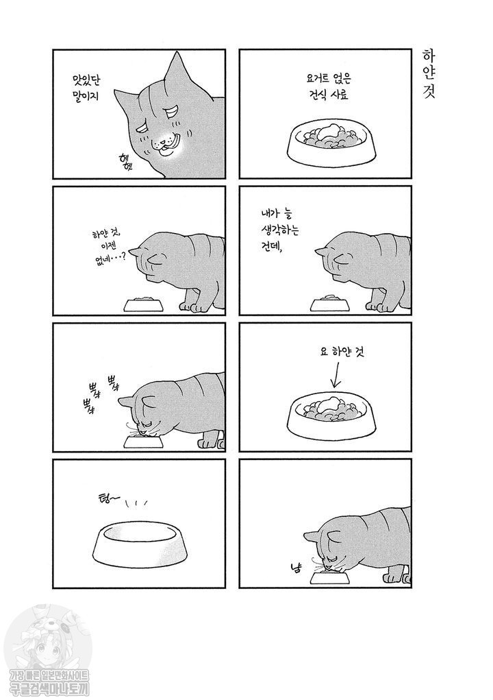 17343798736572.jpg