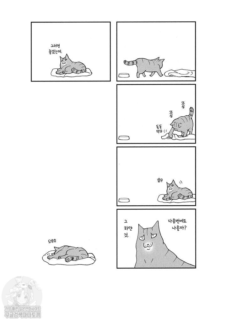 17343798740372.jpg