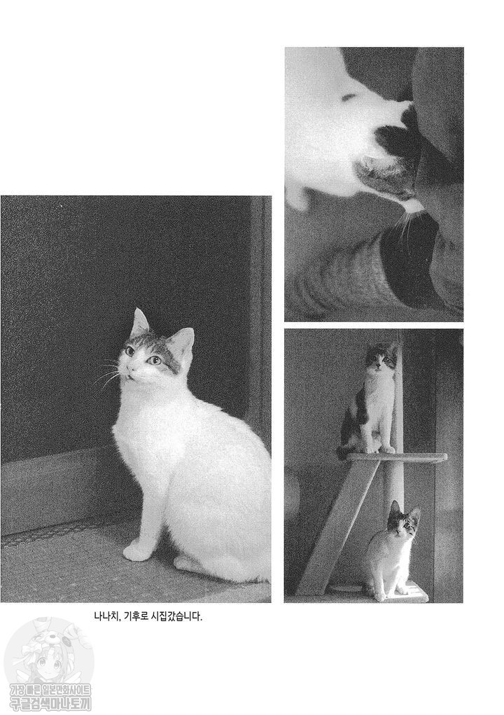 17343798869097.jpg