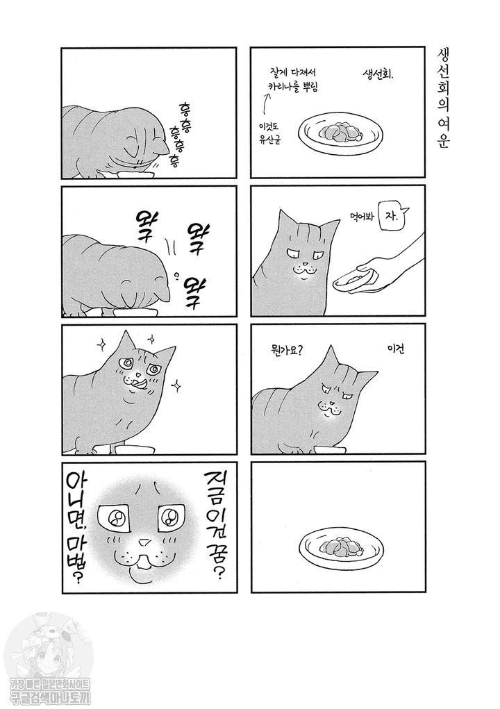 17343798877219.jpg