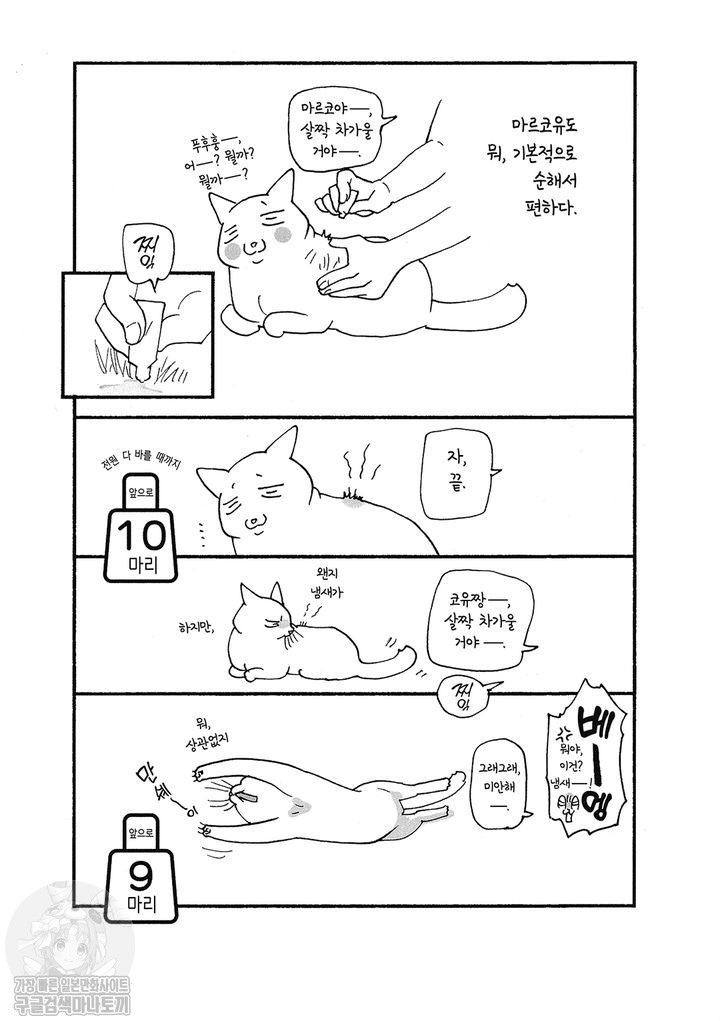 17343799068808.jpg