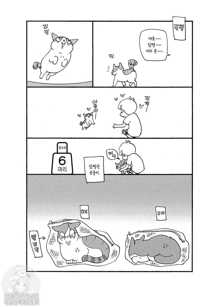 17343799080174.jpg