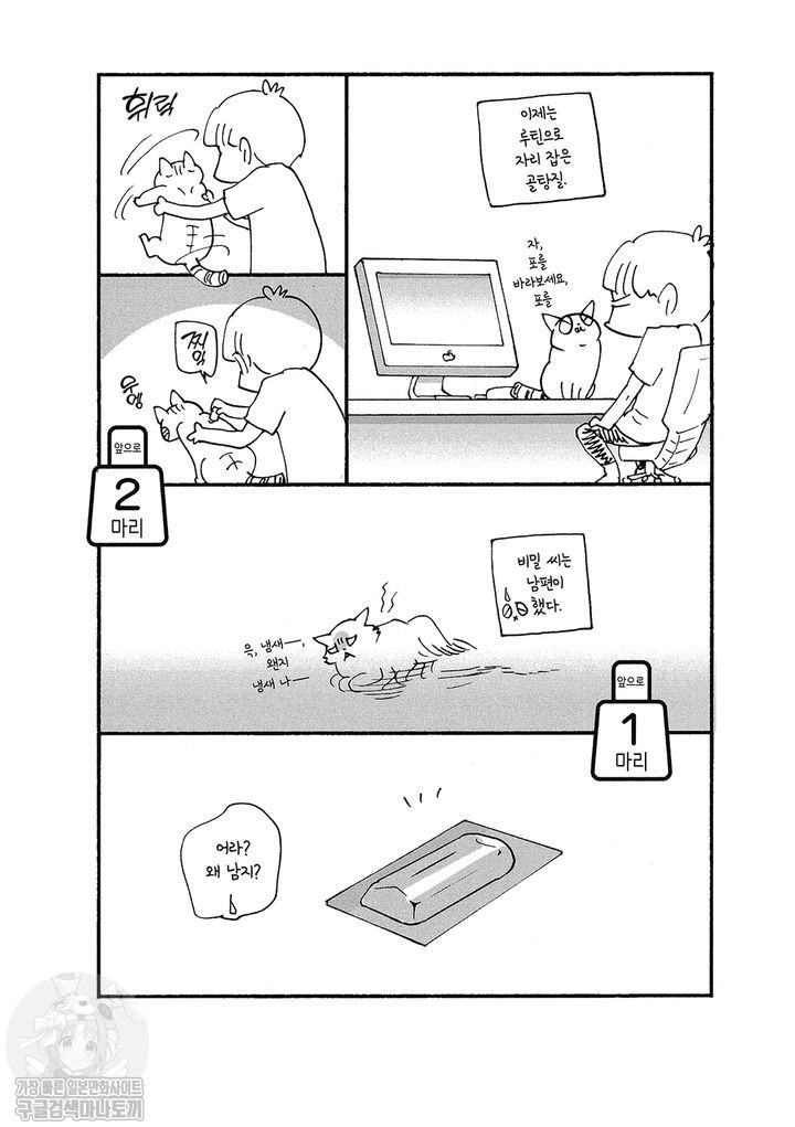 17343799090322.jpg