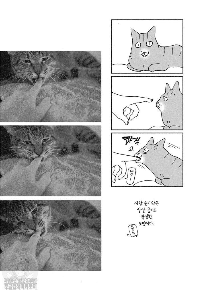 17343799248553.jpg
