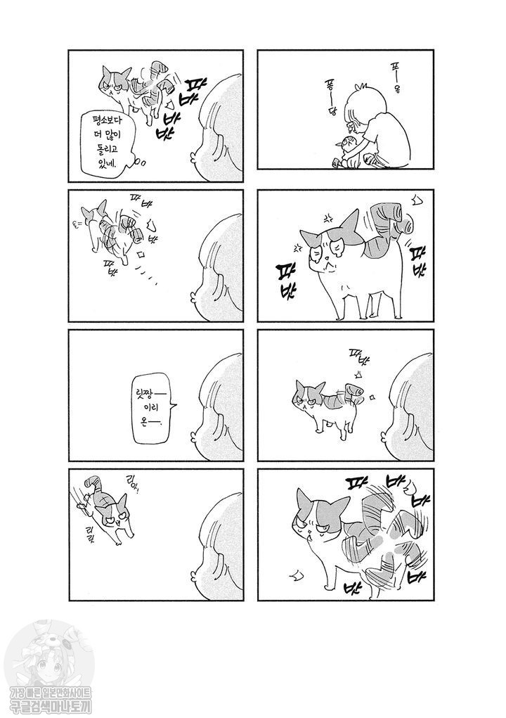 17343799426597.jpg