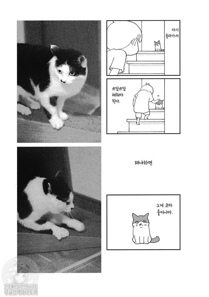 17343799463098.jpg