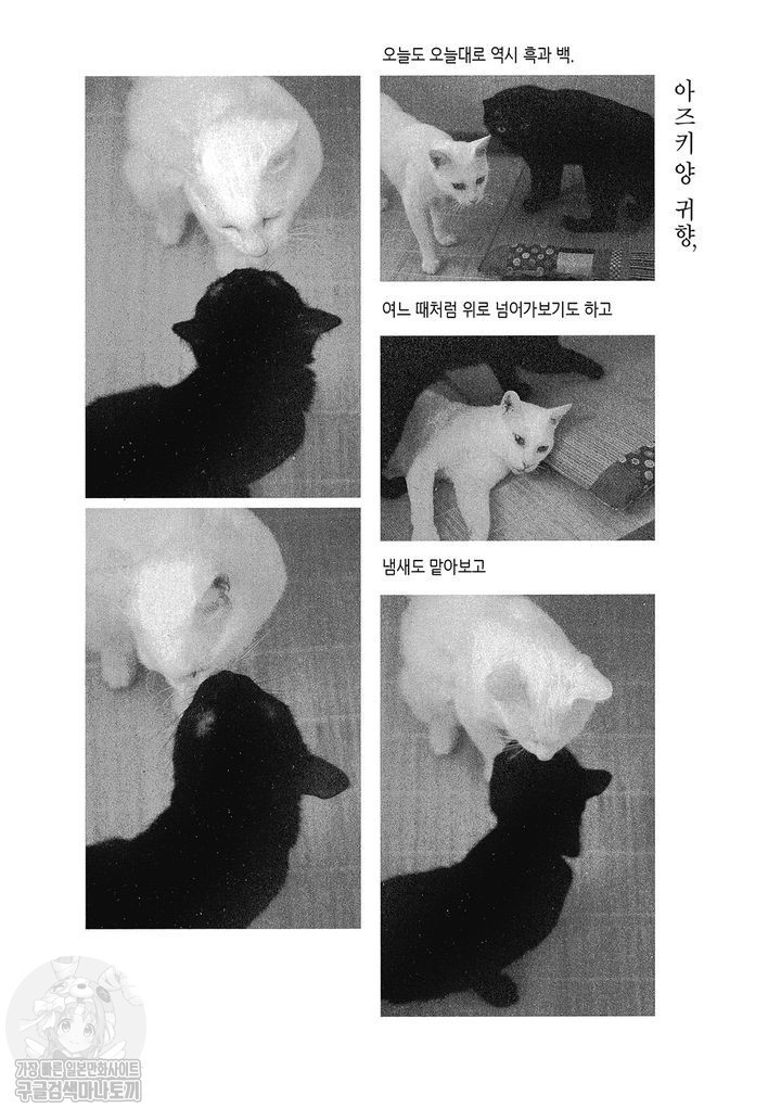 17343799759668.jpg